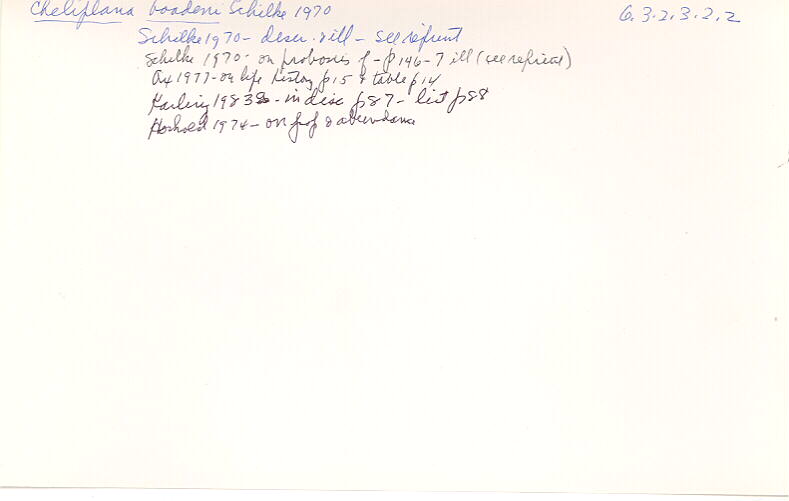 index card