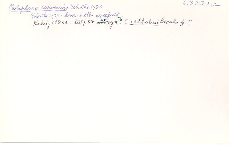 index card