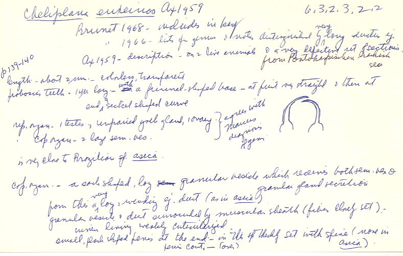 index card
