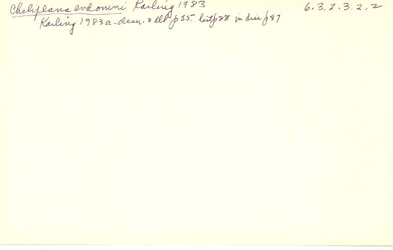 index card