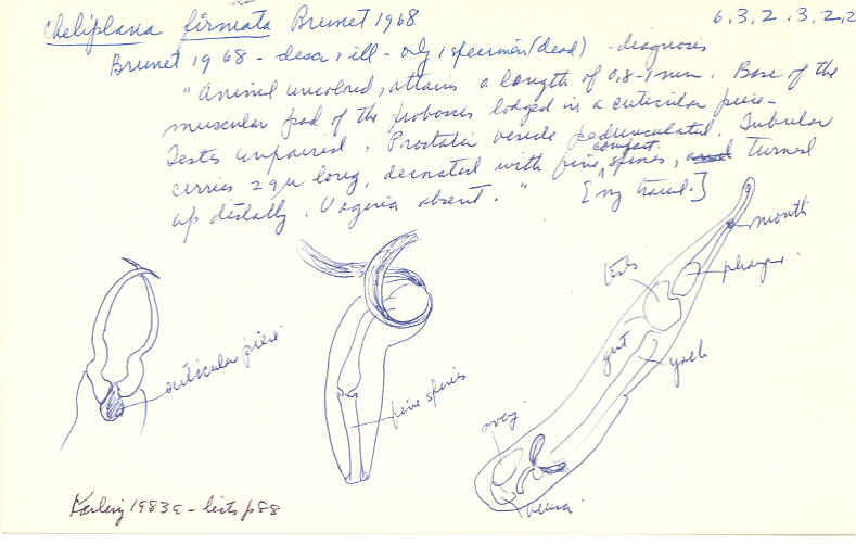 index card