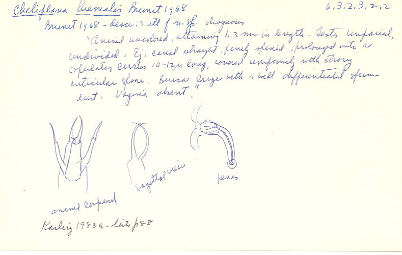 index card