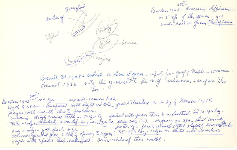 index card