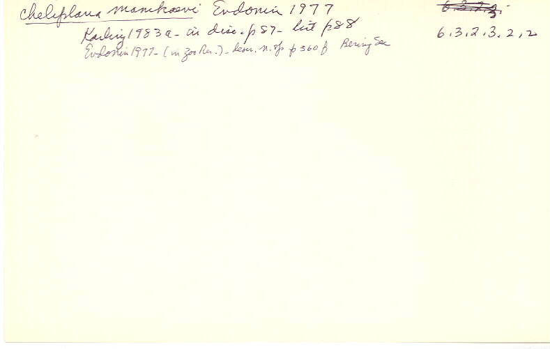 index card