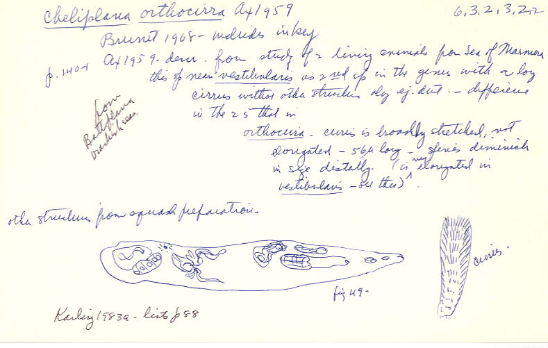 index card