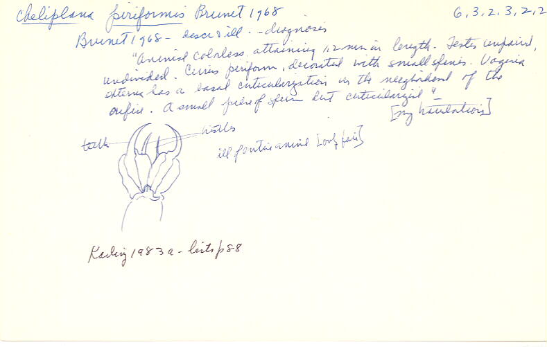 index card