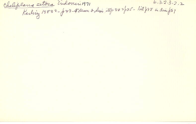 index card