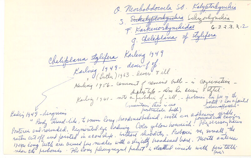 index card