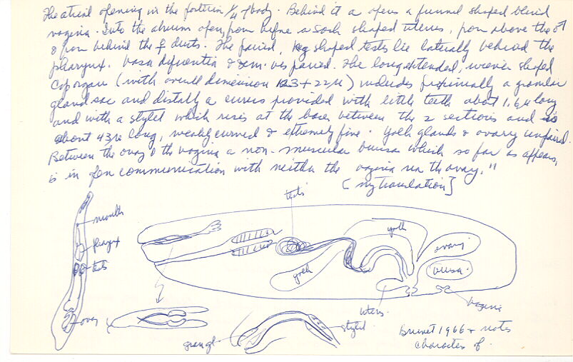 index card