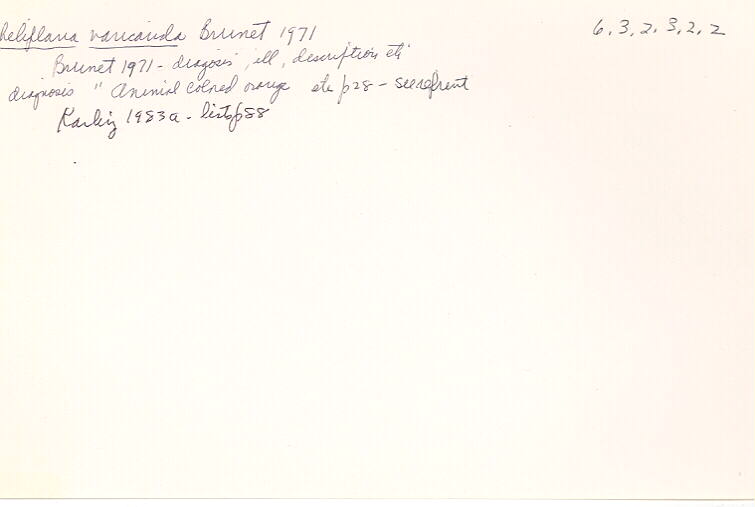 index card