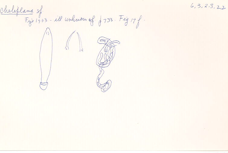 index card