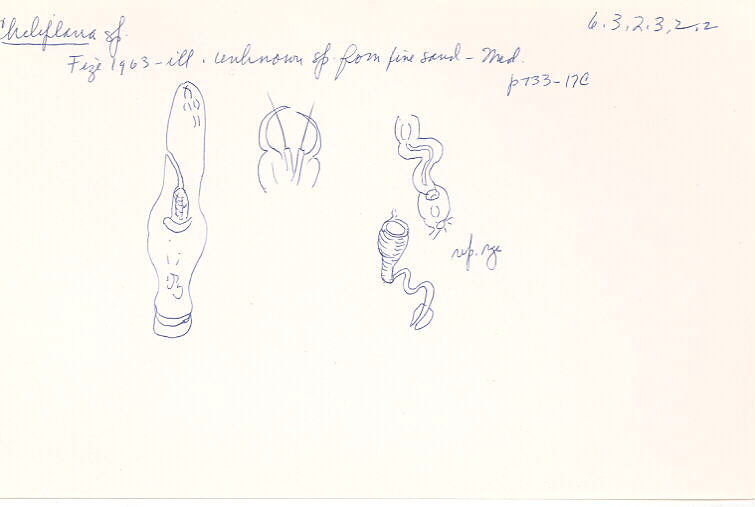 index card