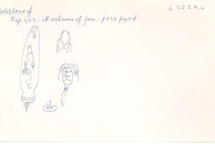 index card