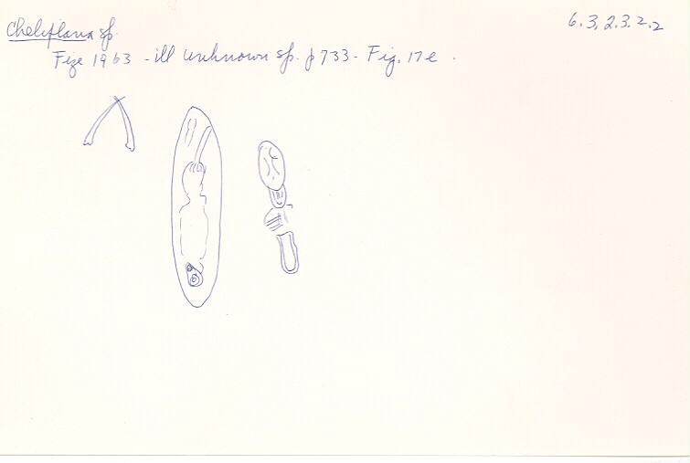 index card