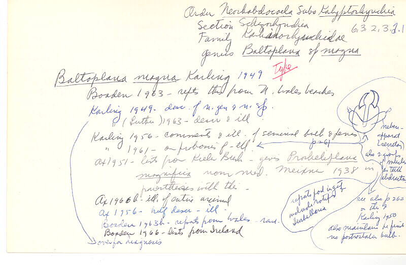 index card