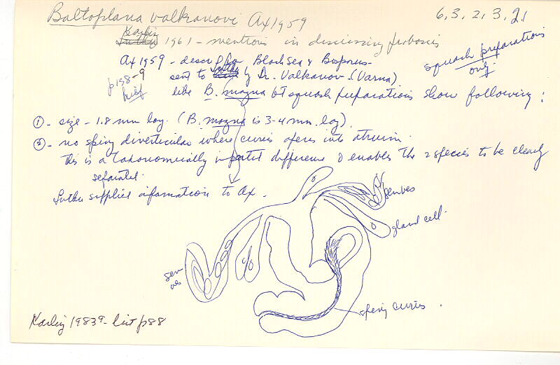 index card
