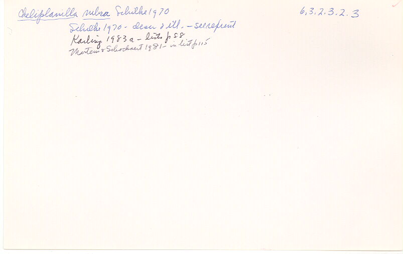 index card