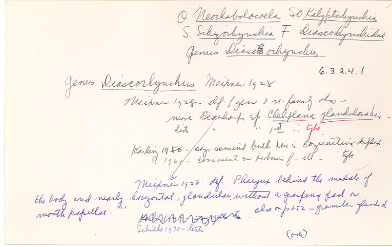 index card