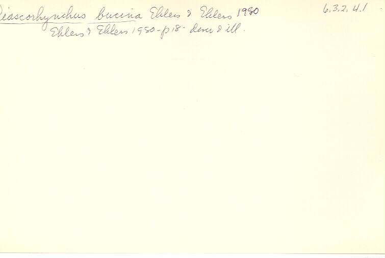index card