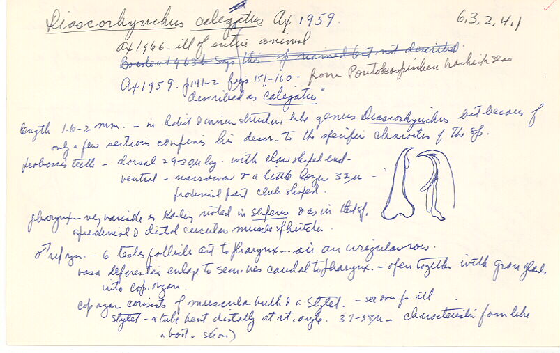 index card