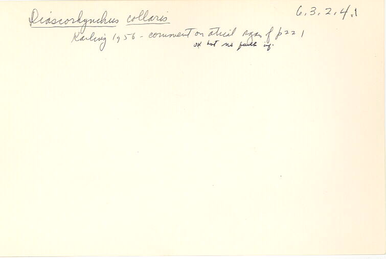 index card