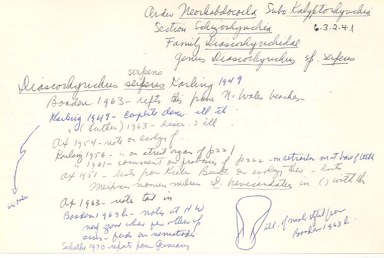 index card