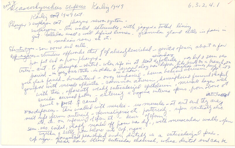 index card