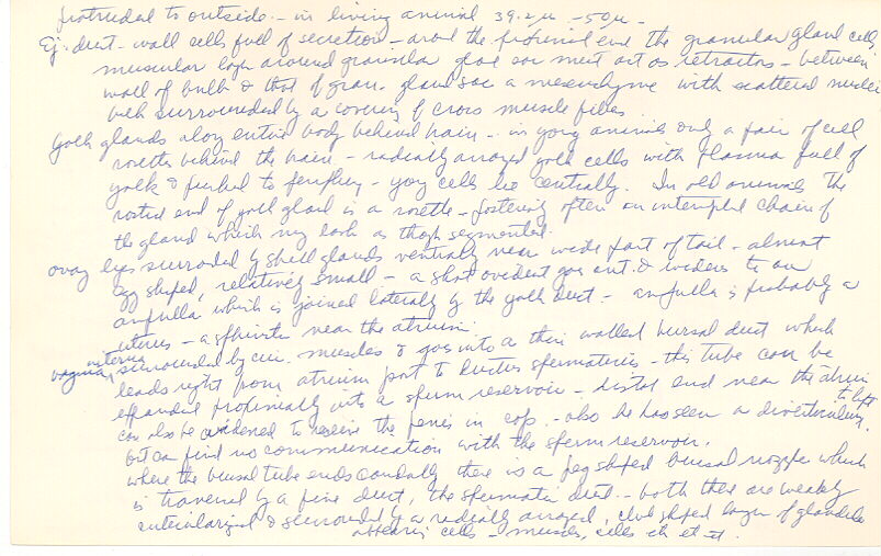 index card