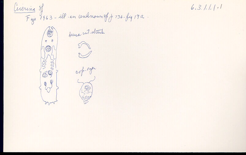 index card