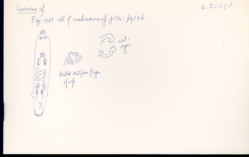index card