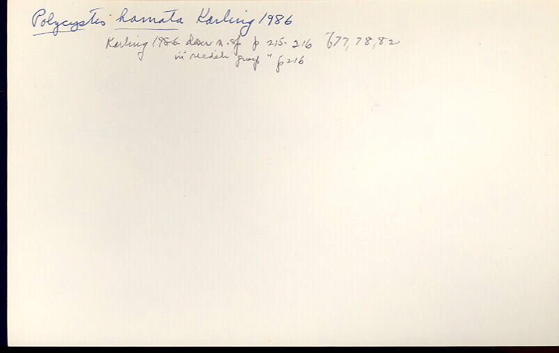 index card