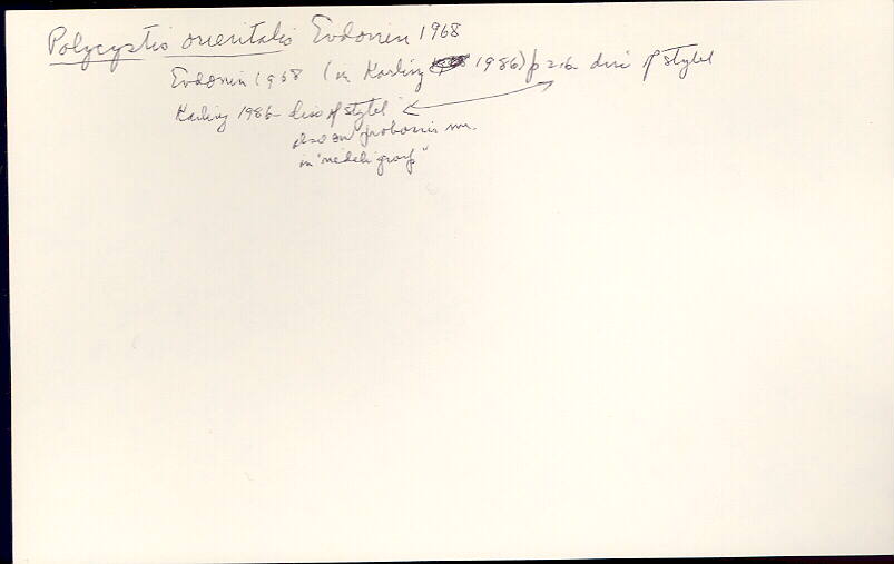 index card