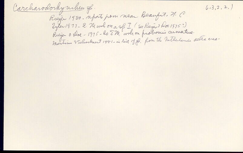 index card