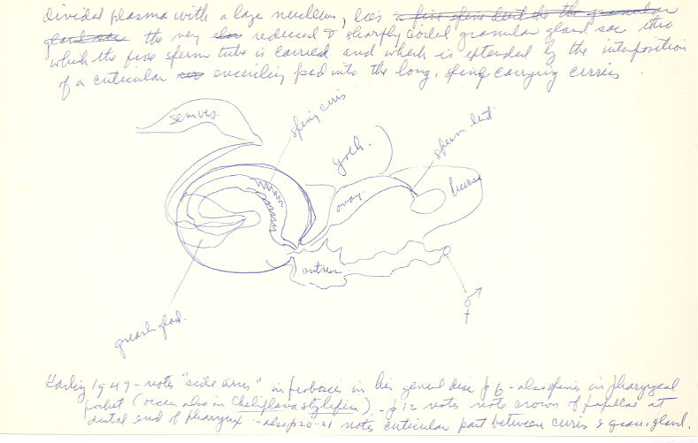 index card