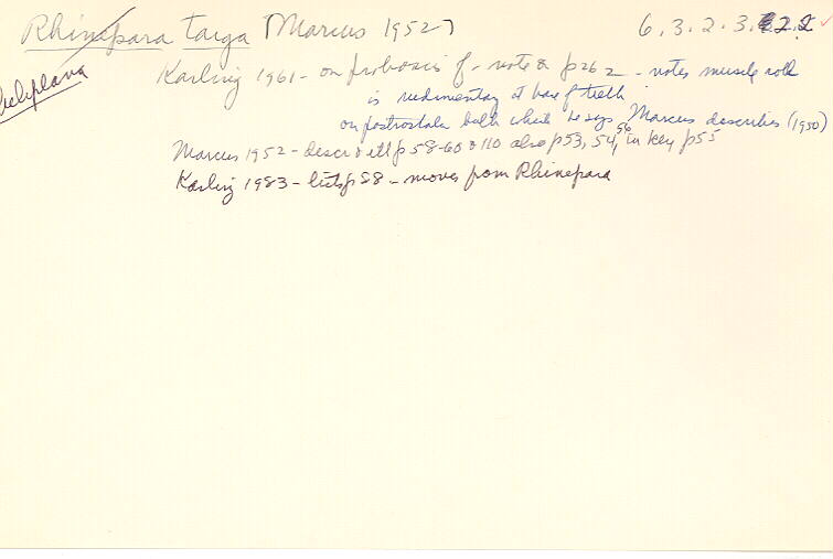 index card