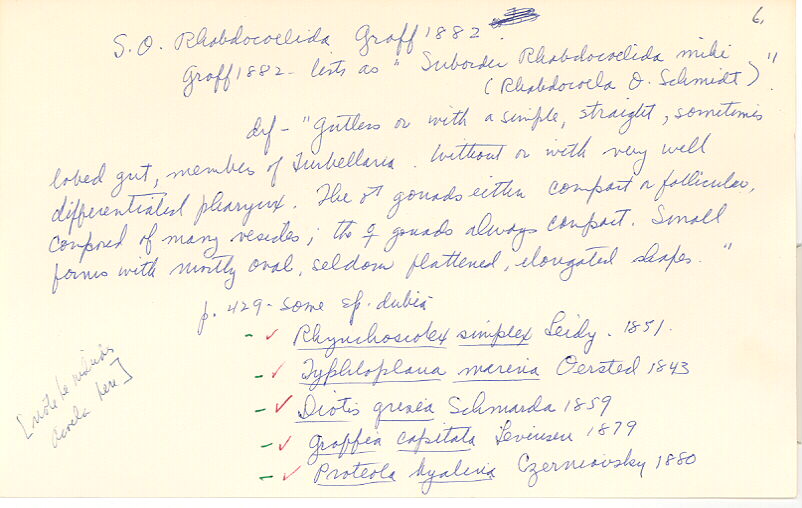 index card