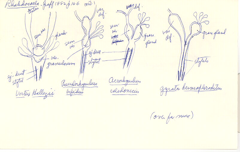 index card