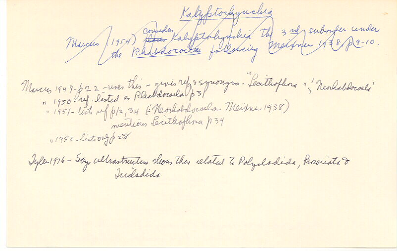 index card