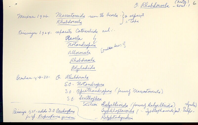 index card