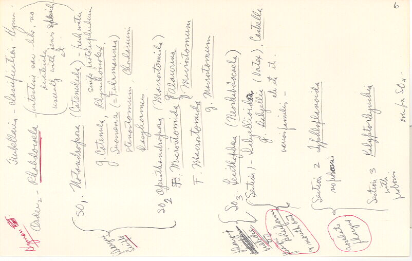 index card