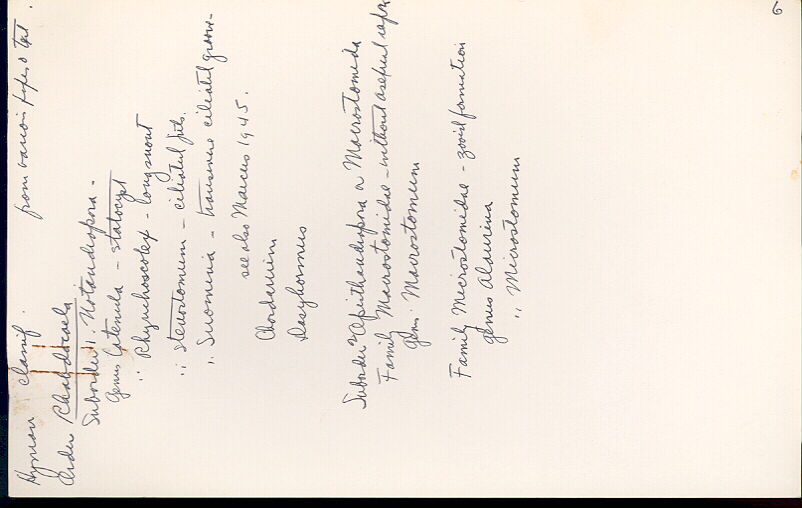 index card