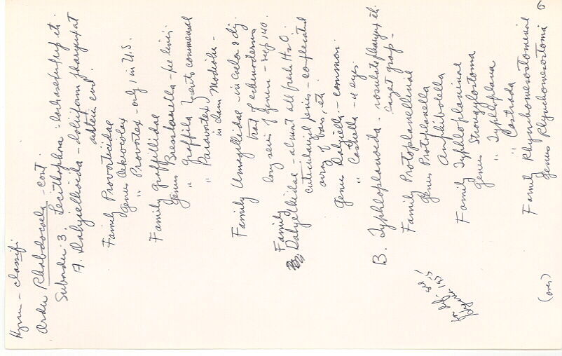 index card