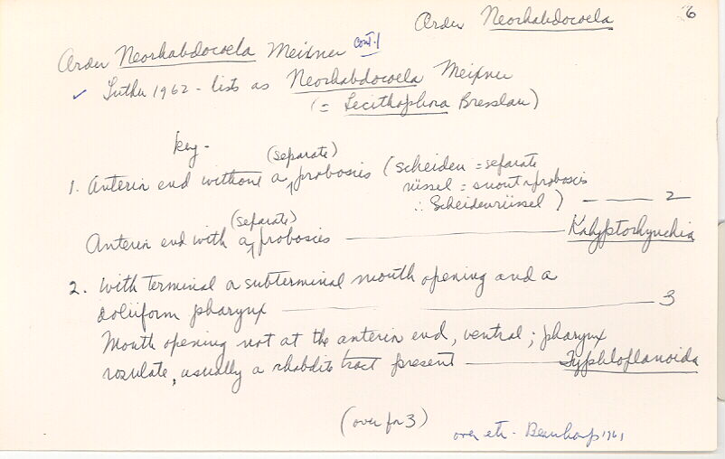 index card