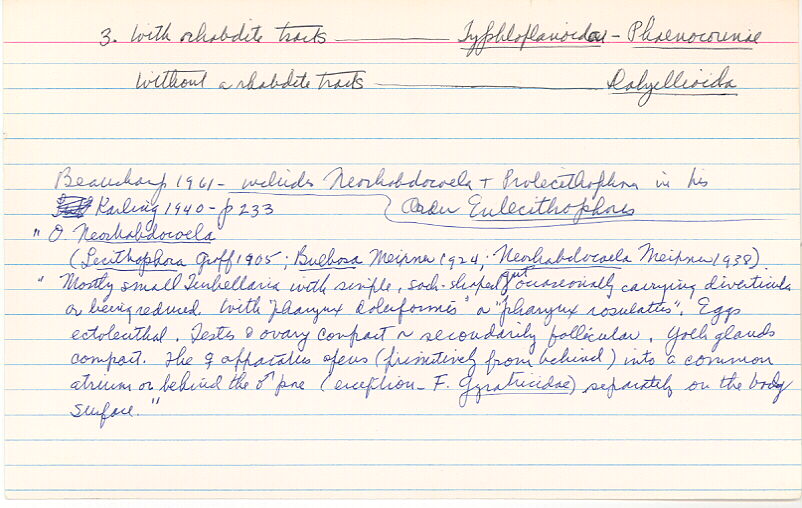index card