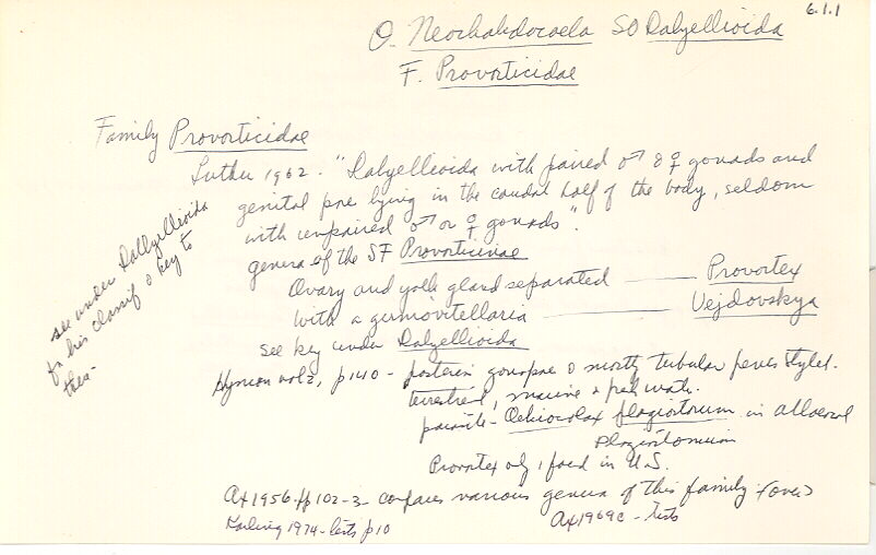 index card