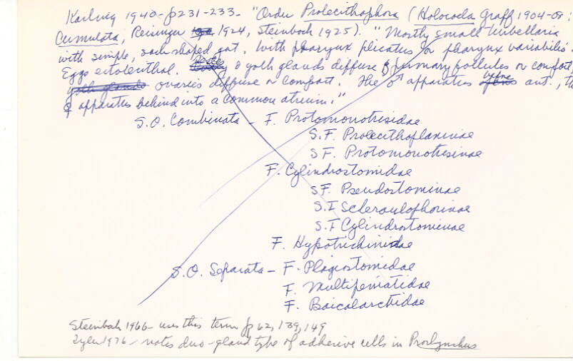 index card