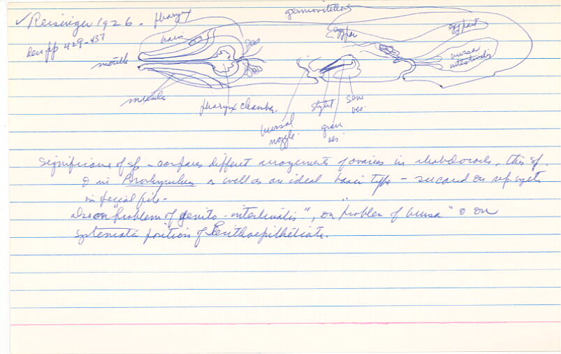 index card