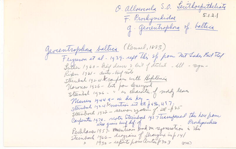 index card