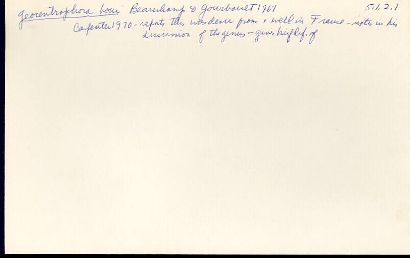 index card