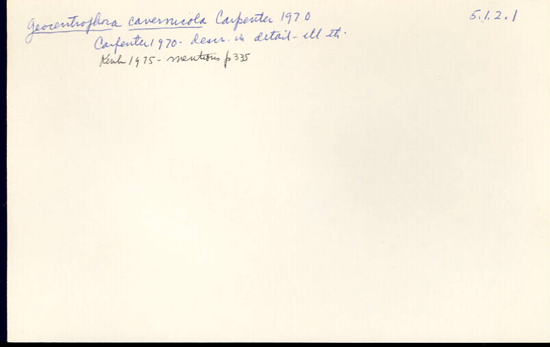 index card